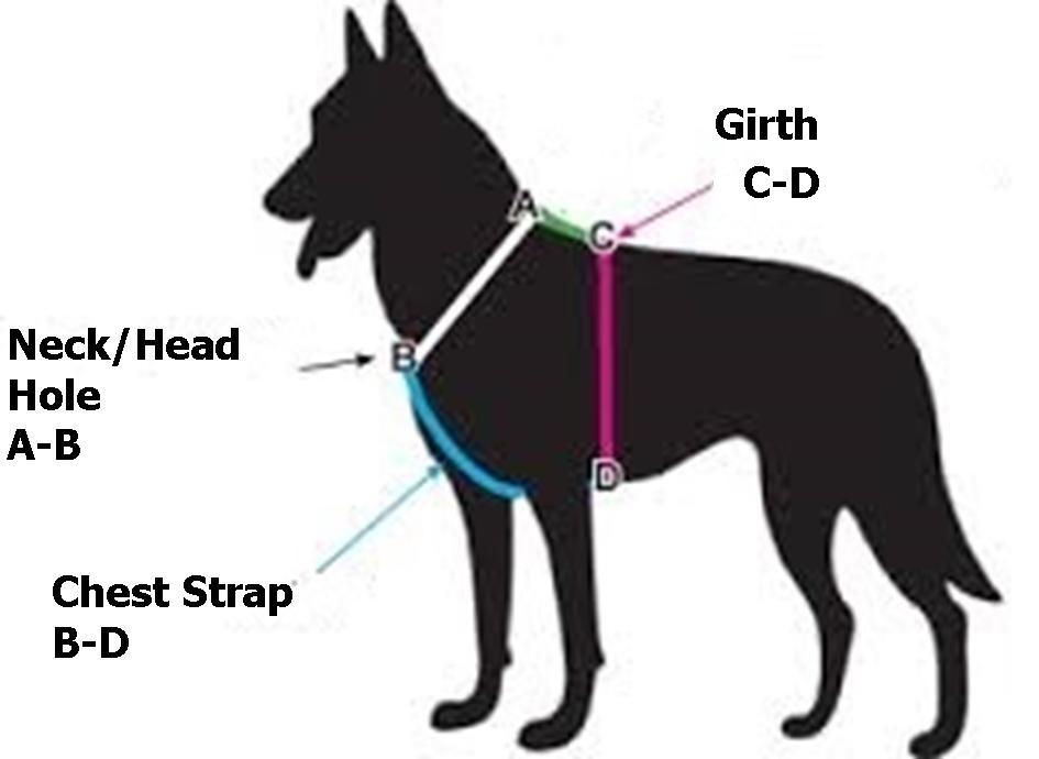 Leather Harness