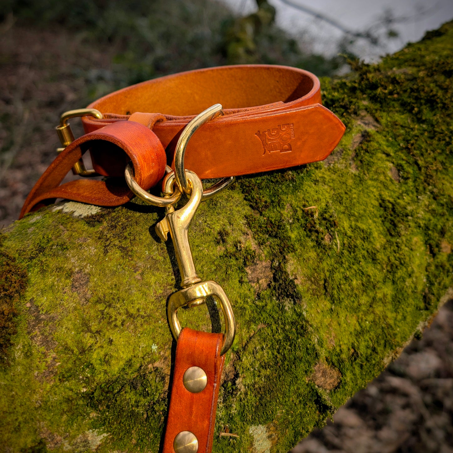 Leather Collar (Made To Order)