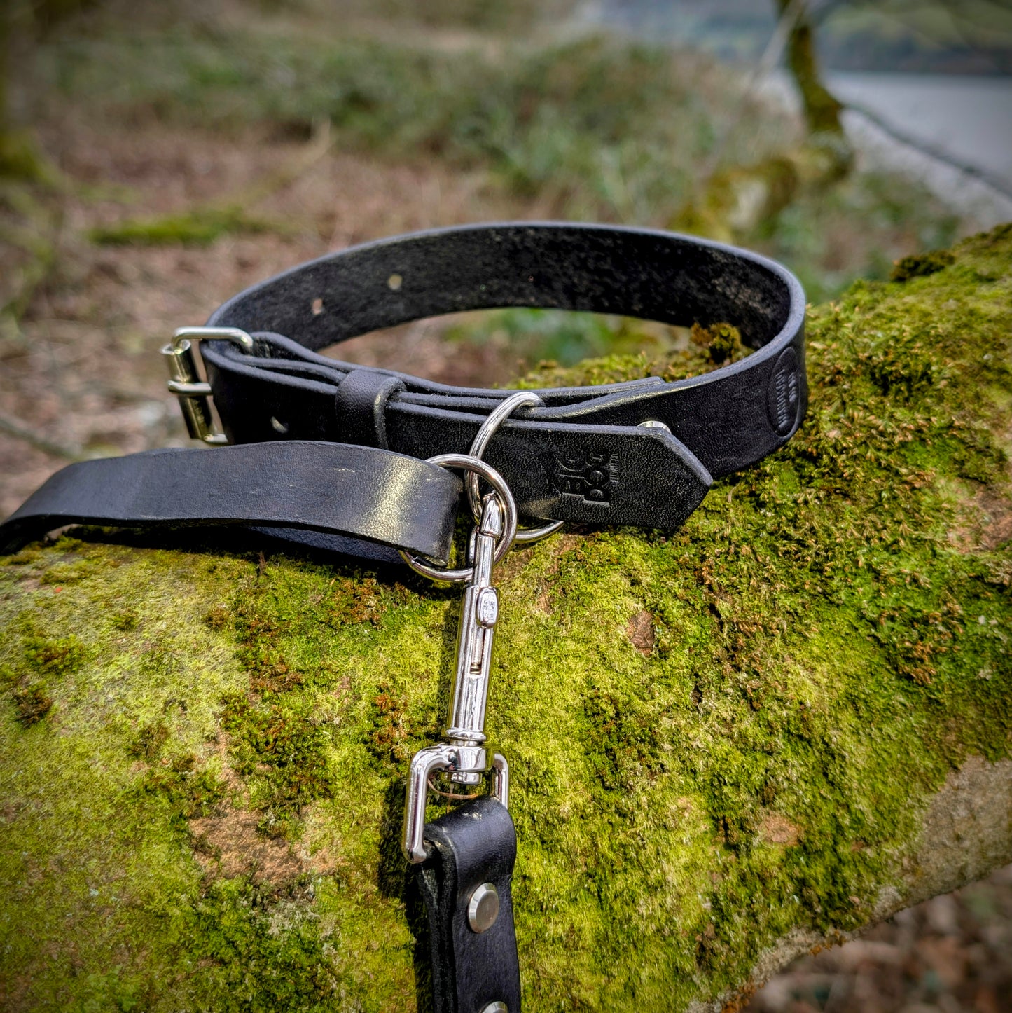 Leather Collar (Made To Order)