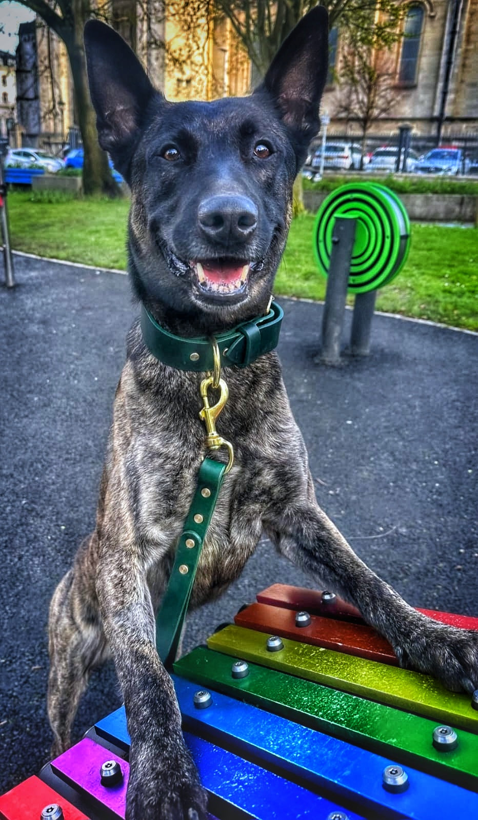 Leather Collar