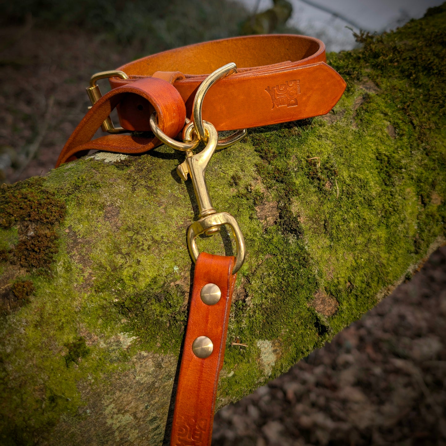 Leather Collar