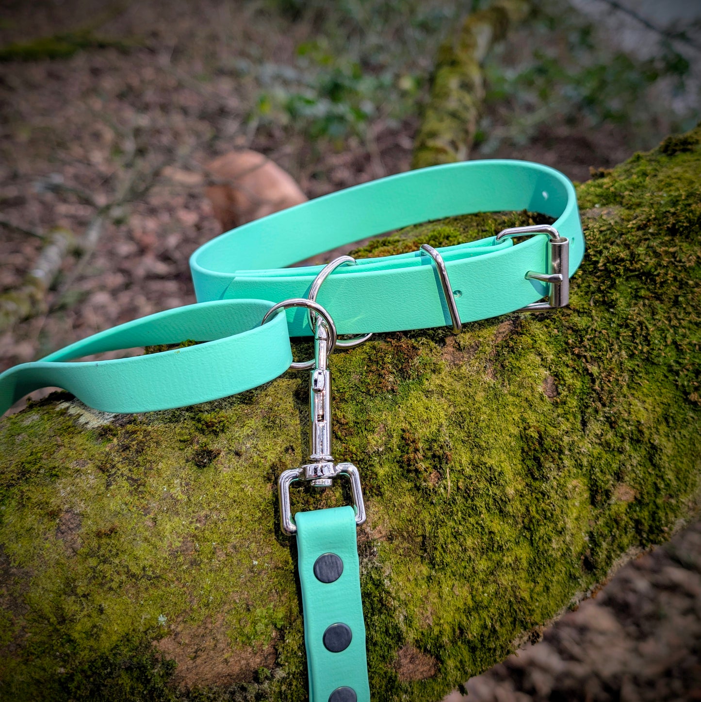 BioThane Collar (Made To Order)